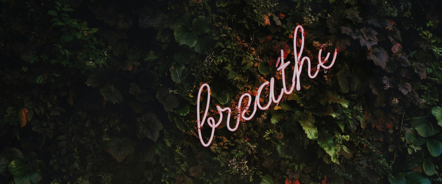 Blogs Banner